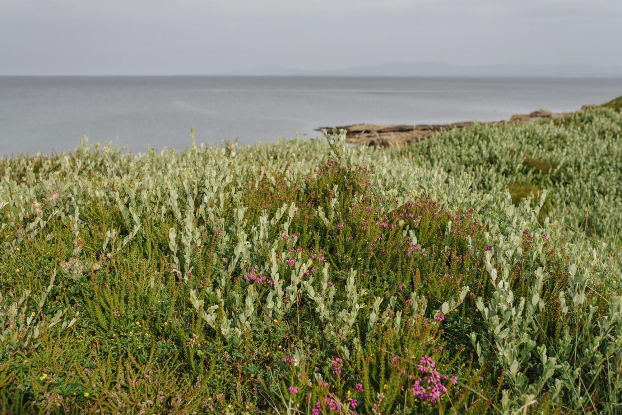 Creevy Holiday home *