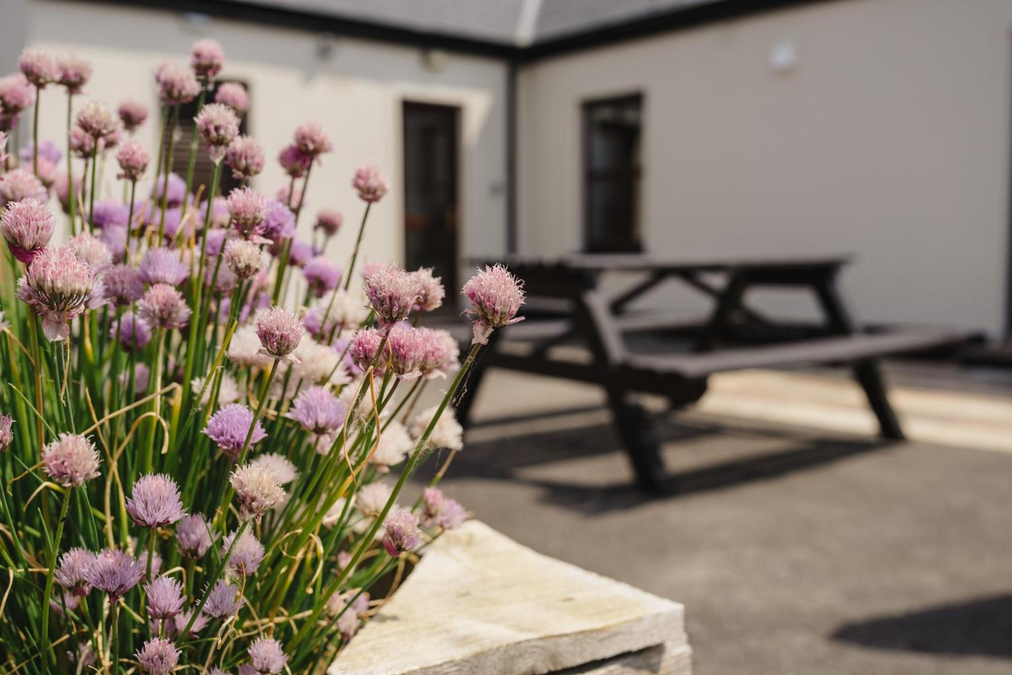 Creevy Rossnowlagh